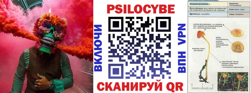Галлюциногенные грибы Psilocybine cubensis  Торжок 