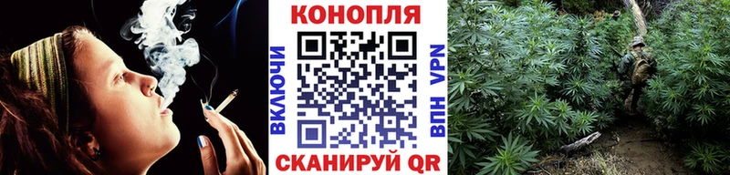 где найти   Торжок  Канабис Ganja 